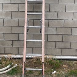 25 Ft Ladder 