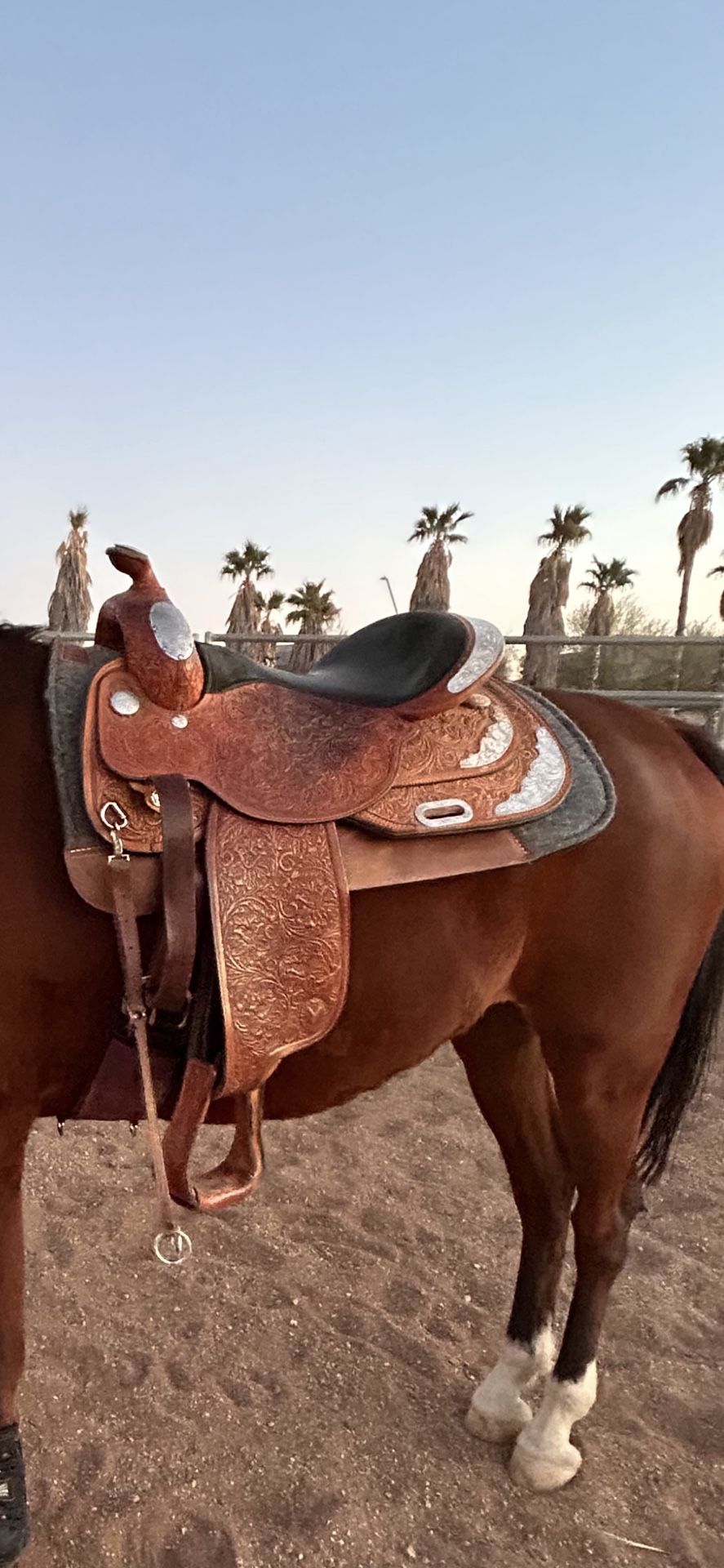Horse Riding Starter Kit. Western Pleasure Shoe Tack. 