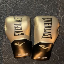 Everlast Elite Pro Style Boxing Gloves 16oz