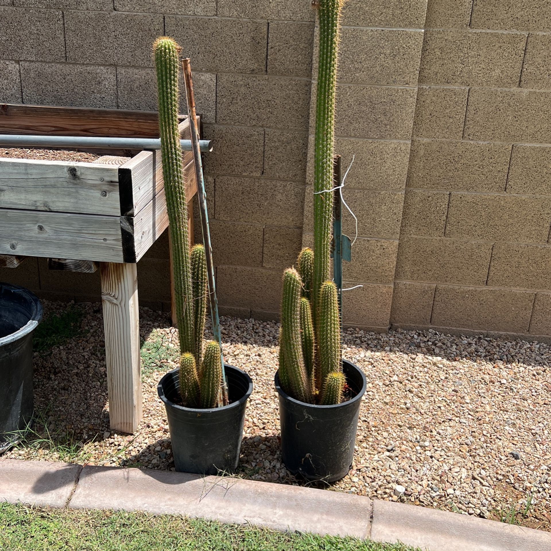 Orgen Pipe Deferent Sizes