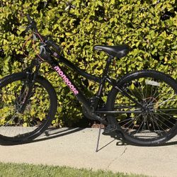 Mongoose Excursion Bike