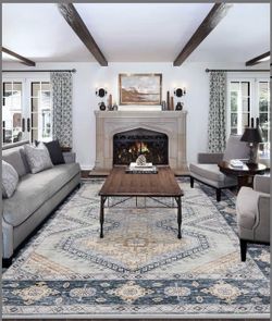 Living Room Rug