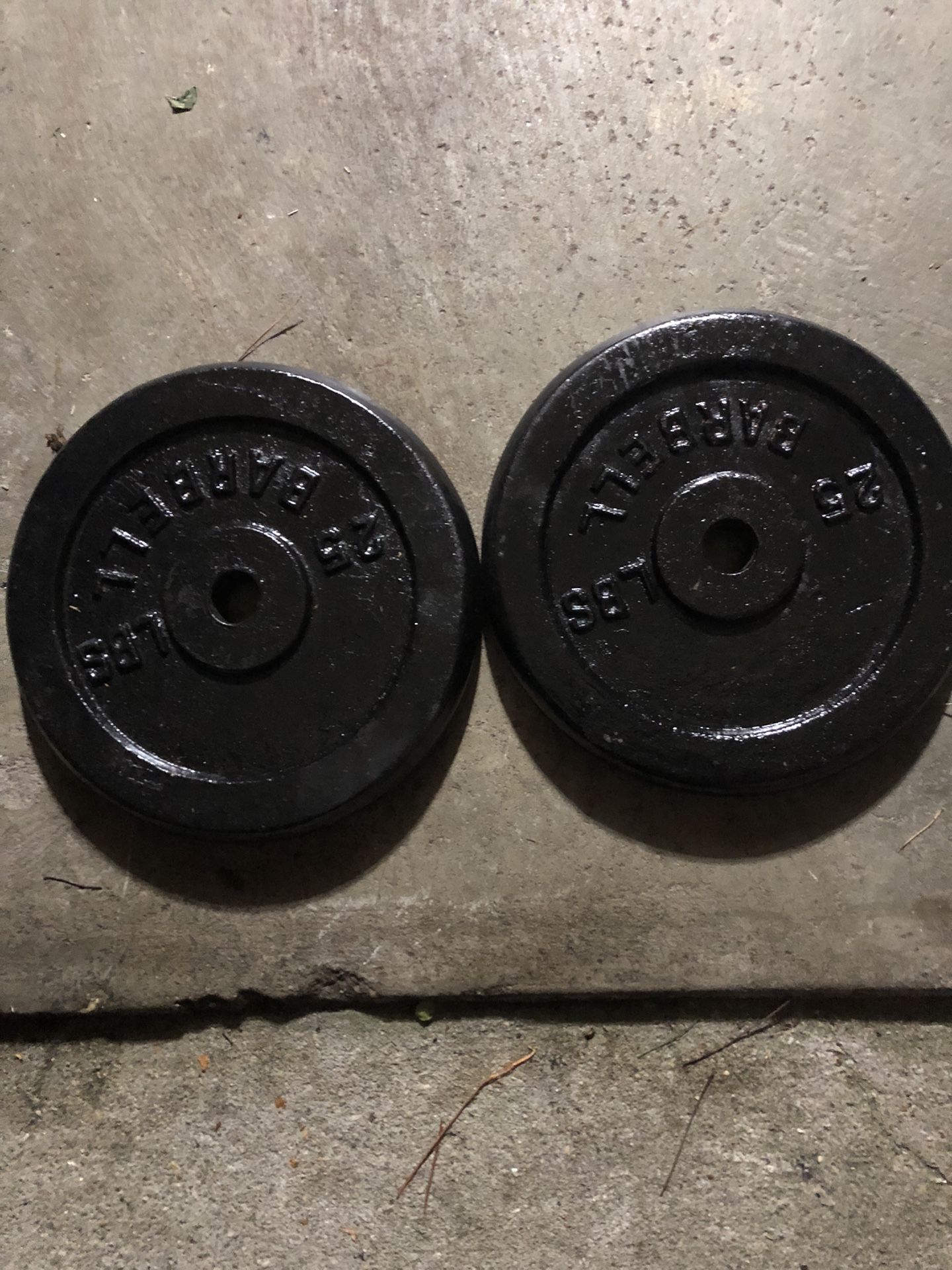 Pair of Steel Standard 25 Lb Plates