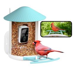  Birdfy Smart Bird Feeder with Camera, Bird Watching Camera, Auto Capture Video & Motion Detection, 1080P Live Steam, Cardinal Feeder Outdoor
