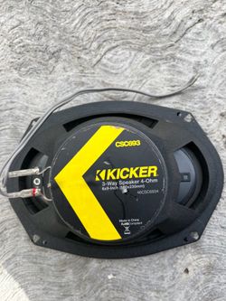 Speakers pair brand kicker