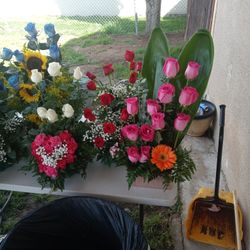 Flores