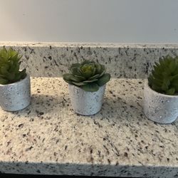 3 Decorative Faux Succulents 