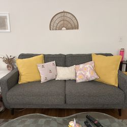 Gray Couch