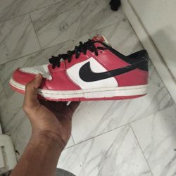 Nike Sb Dunk Low Pro