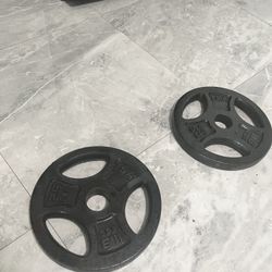 Pair Of 25lb Olympic Weight Plates Total 50lb