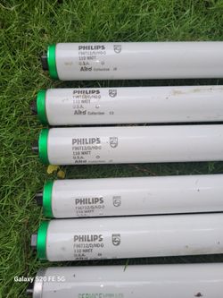 F96TDHO, F72TCWHO, F48CWHO Bulbs