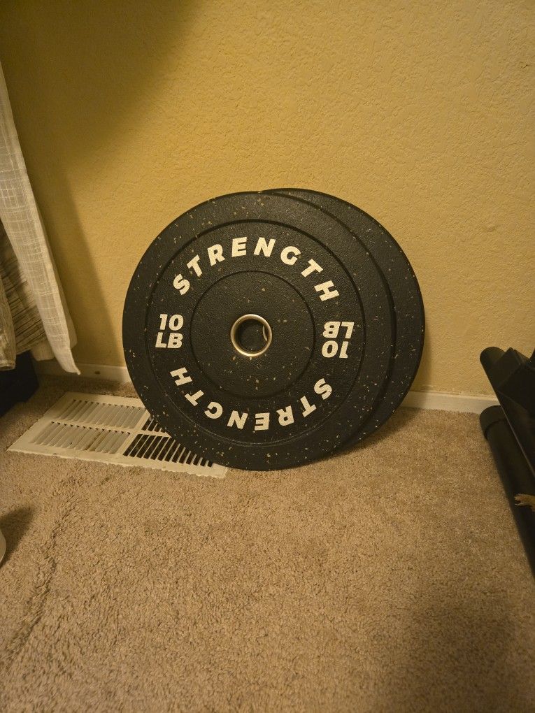10LB weights plates