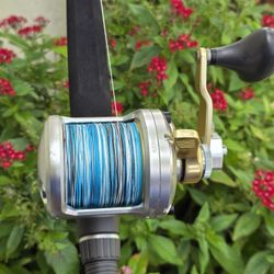 Talica Fishing Reel/New Braid / New Star Paraflex Rod