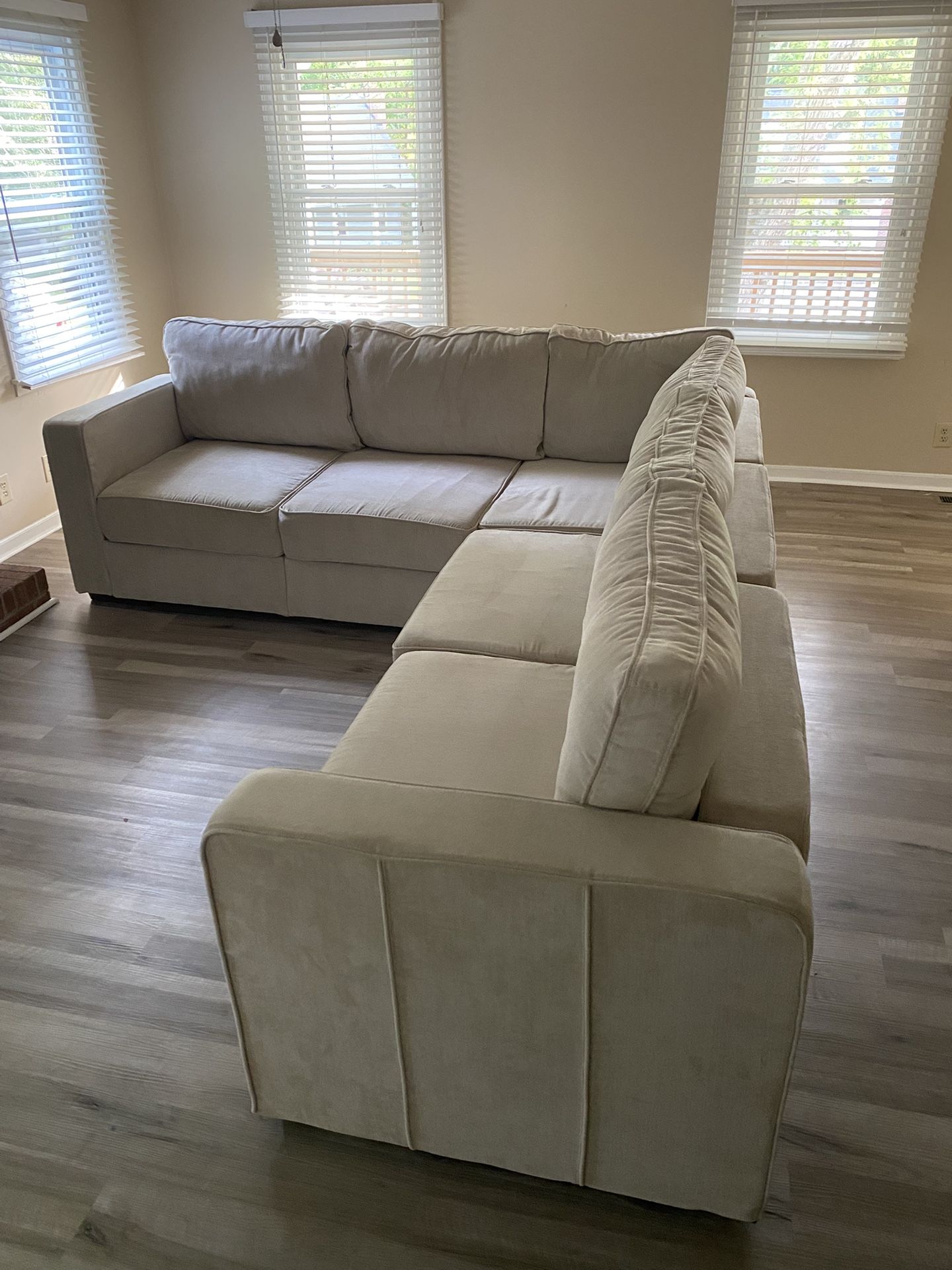 New Lovesac Couch