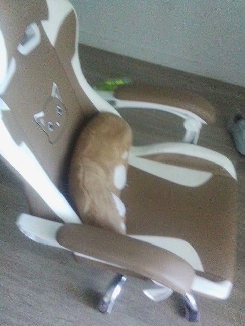 New Gaming Chair