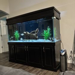 220 Gallon Aquarium