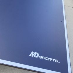 Ping Pong Table 
