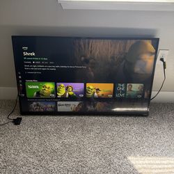 Vizio 40 Inch TV