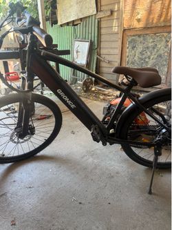 electric bike
