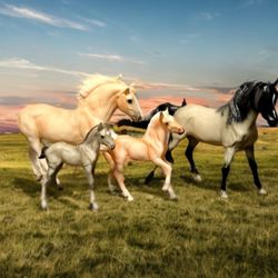 Breyer 2003 Cloud’s Legacy Andalusian Stallion Foal Mesteno Mare Mustang Foal 1225