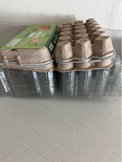 Plastic and molded pulp egg cartons