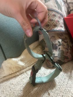 Dog collar