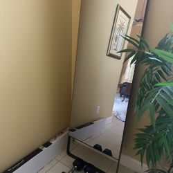 Lulu lemon Mirror
