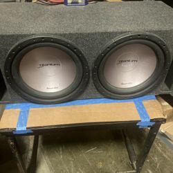 15’ Phoenix Gold Titanium Series/ Amps 