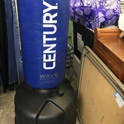 Standing Punching Bag 