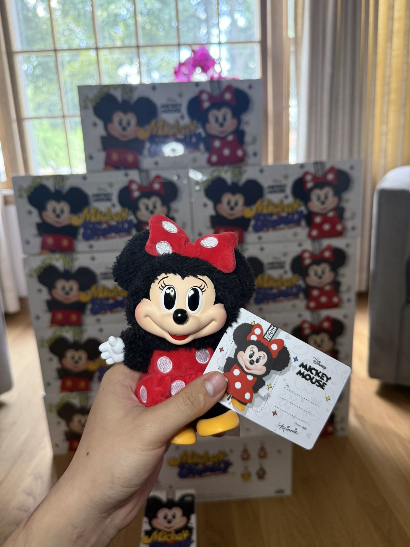 MICKEY MOUSE FAMILY
