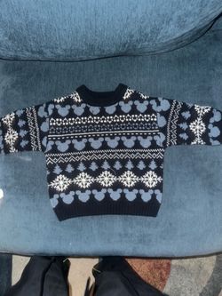 Zara toddler sweater. 2T