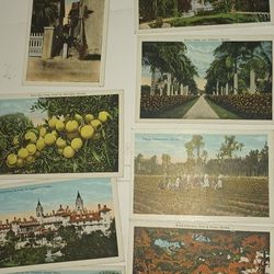 Antique Lot Of 8 White Border (1915-30) Postcards