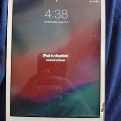  IPad Mini 