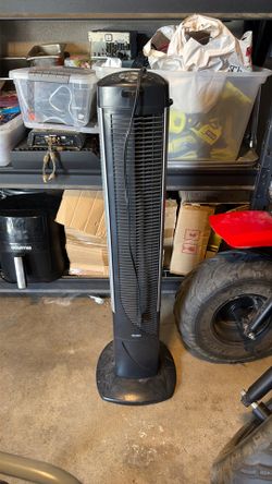 Fan