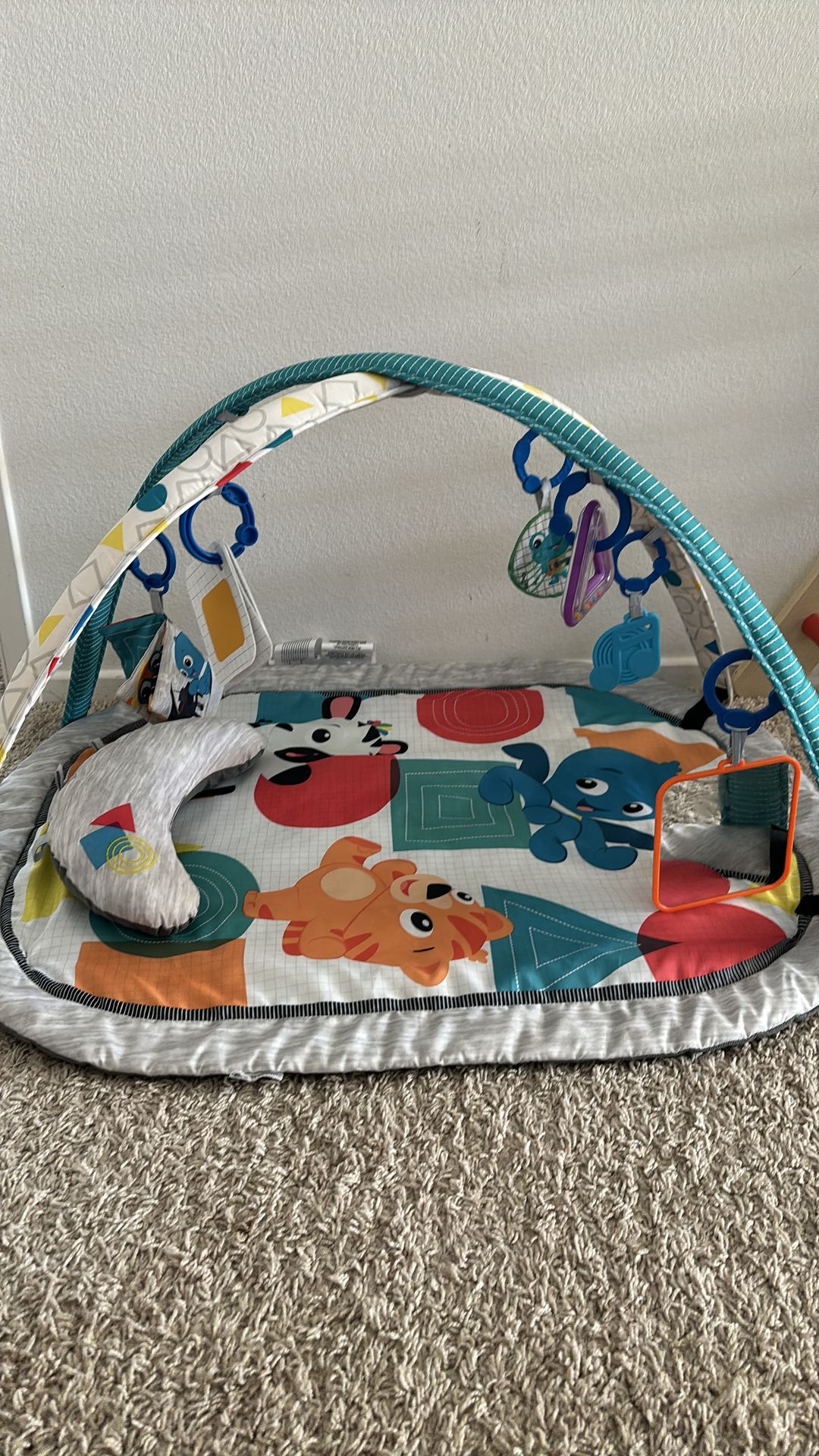 Baby Einstein play gym