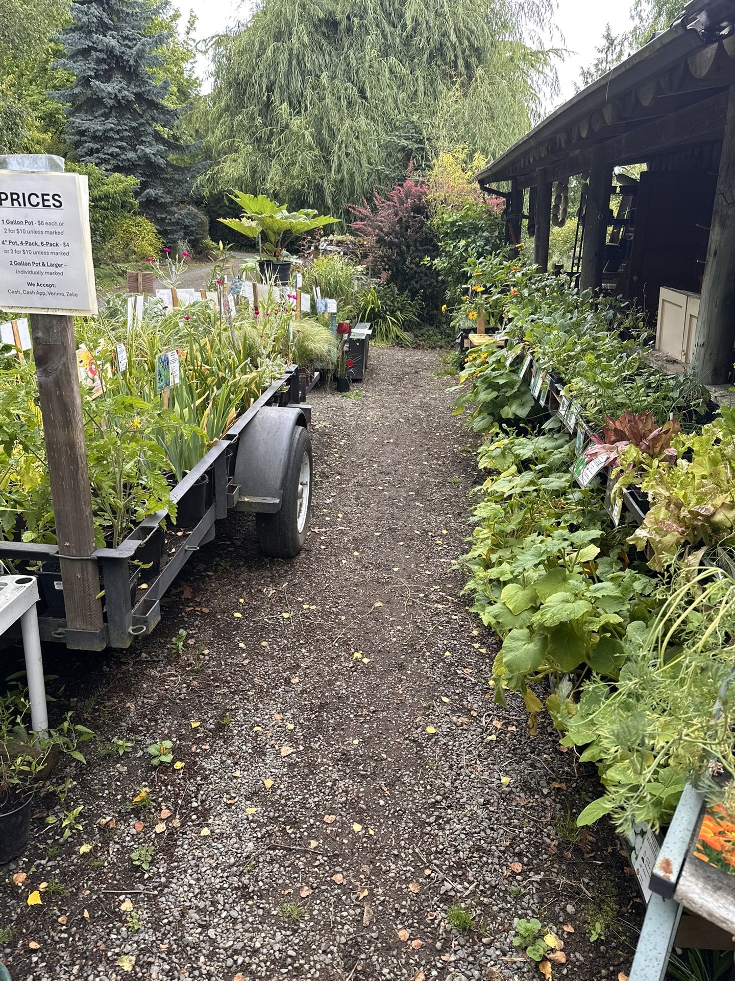 Plant Sale And Garage Sale 