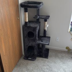 Cat Tree 50”