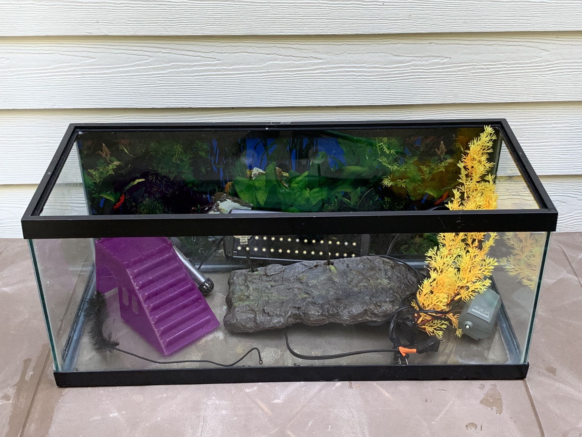 Fish Tank With Accessories 