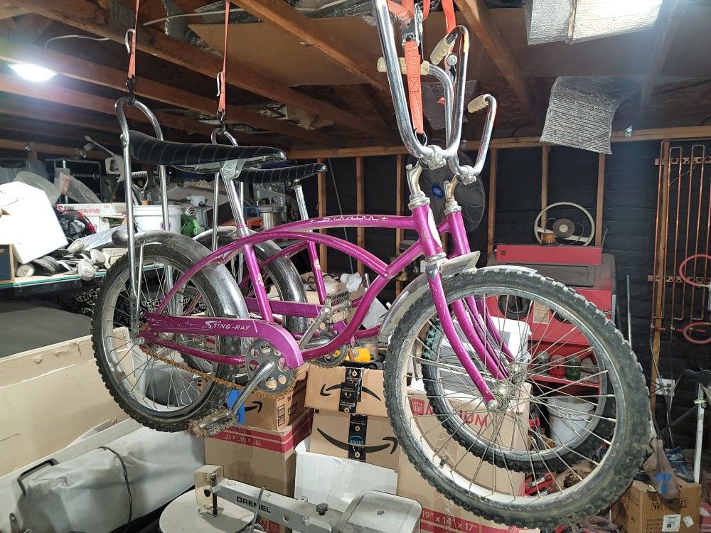 Matching Boys And Girls Schwinn Stingrays