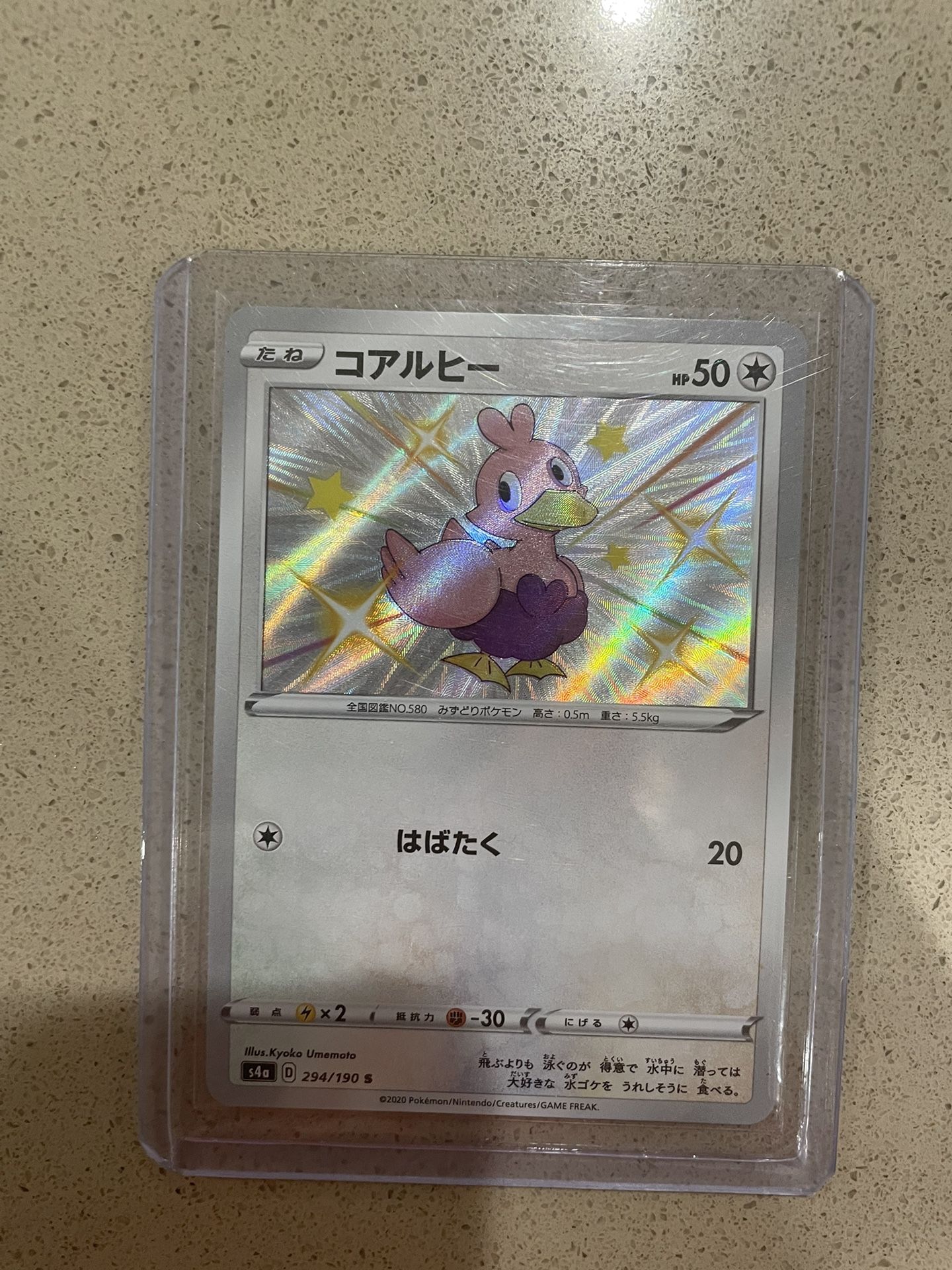 Shiny Ducklette Pokémon