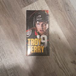 Troy Terry Bobblehead