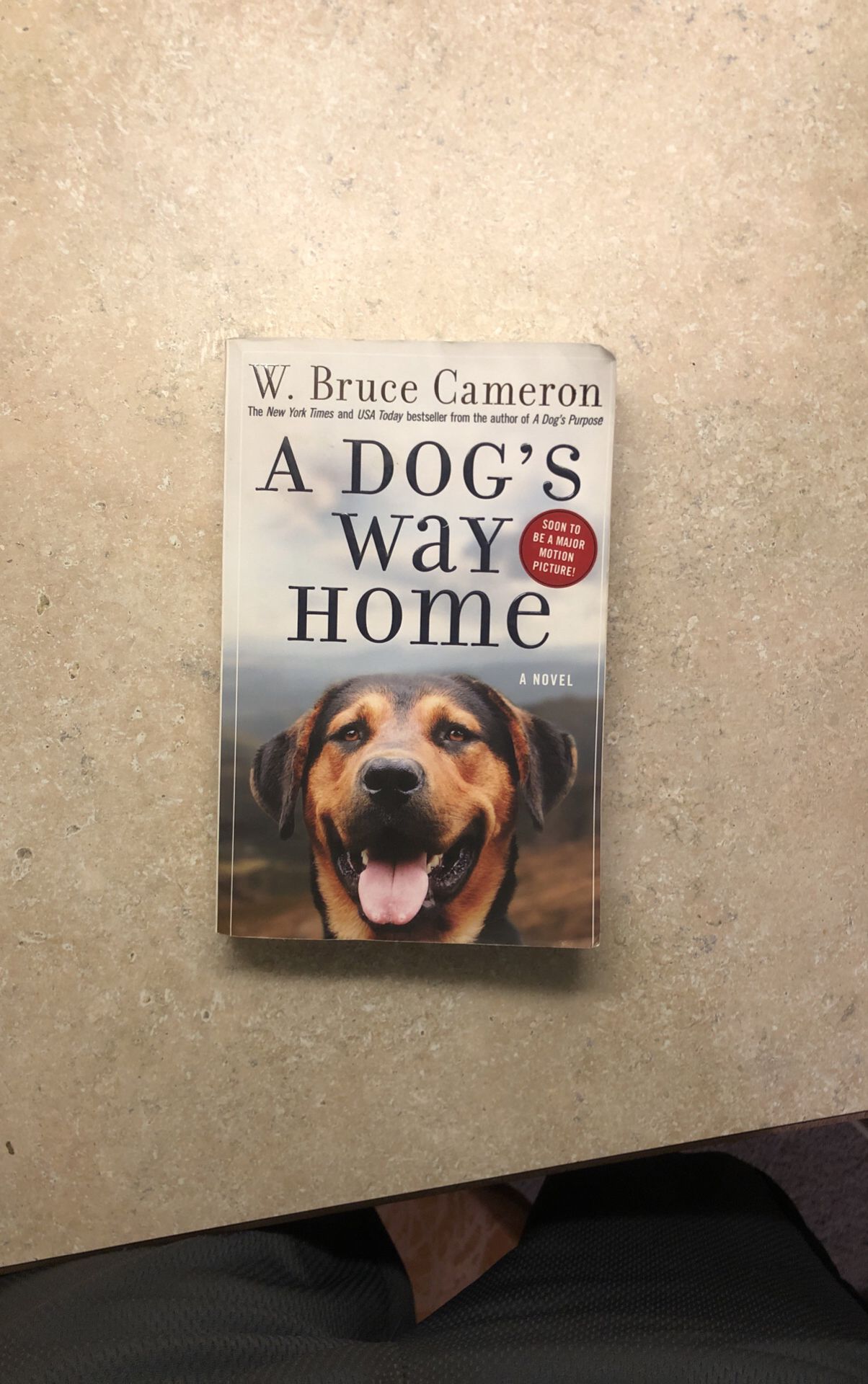 A Dogs Way Home