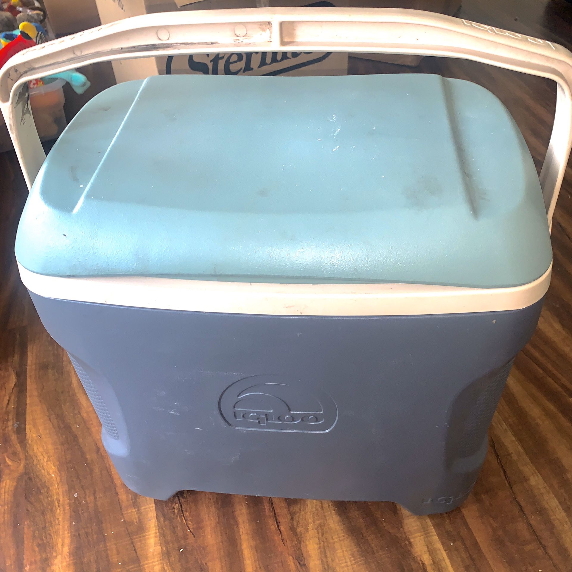 30 quart igloo cooler with auto lock handle lid