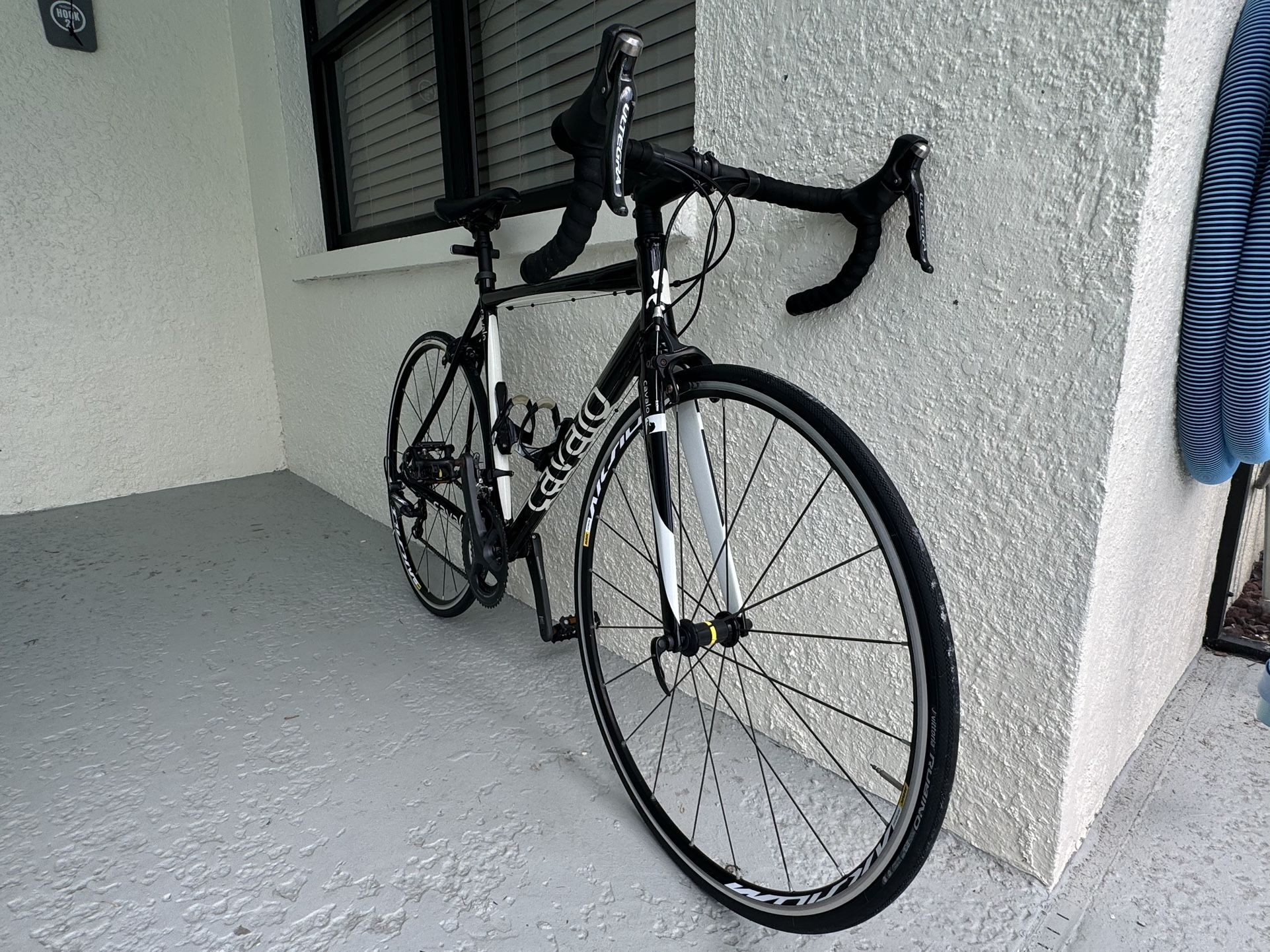 Cavalo Corsa Ultegra Road Bike