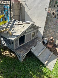 Small dog house