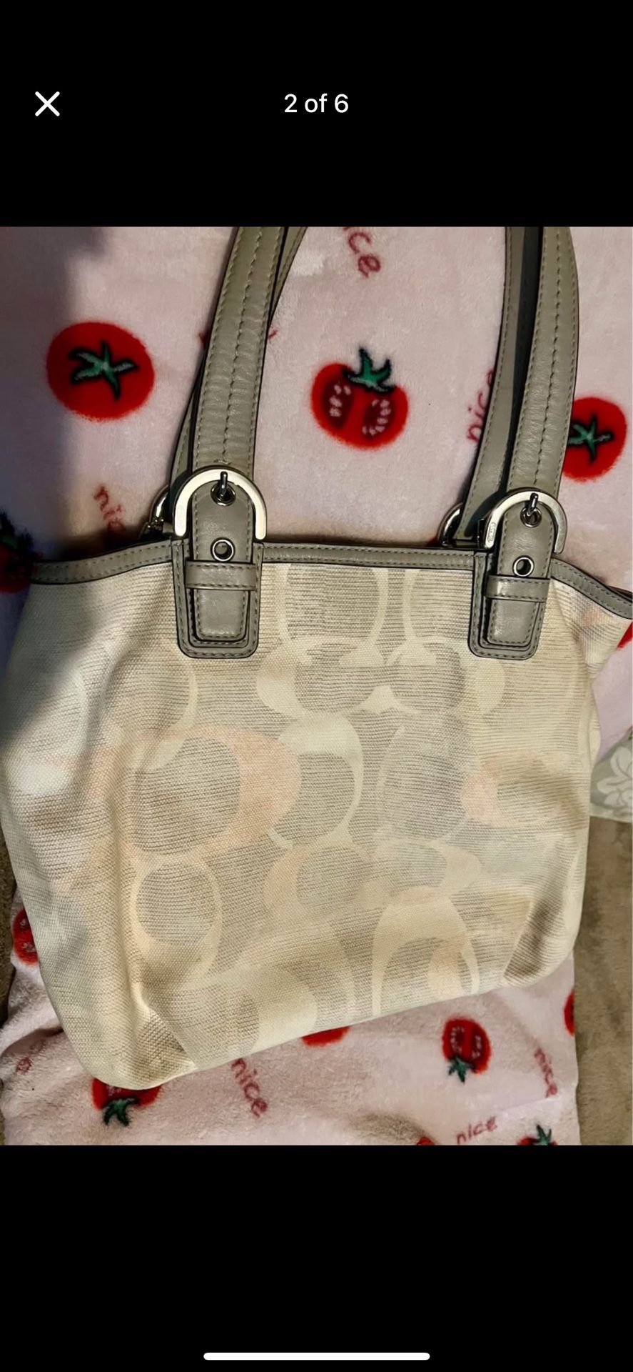 Coach Bag