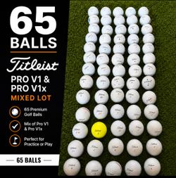 65 Titleist Pro V1 & Pro V1x Golf Balls – Mixed Lot
