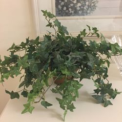 Faux Ivy Plant In Terracotta Pot 