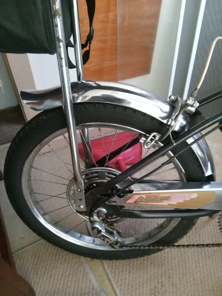 Roadmaster AMF 5-speed Vintage