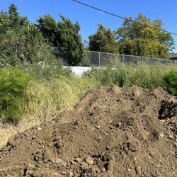 FREE Dirt Clean 